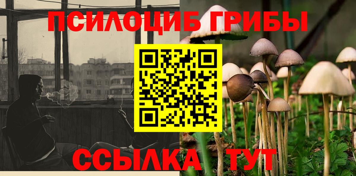 Галлюциногенные грибы Psilocybe Всеволожск