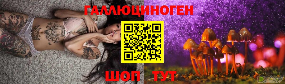 Всеволожск  Галлюциногенные грибы прущие грибы  Вход с VPN 